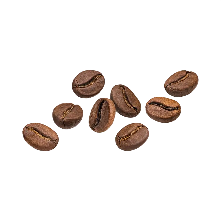 Coffee bean